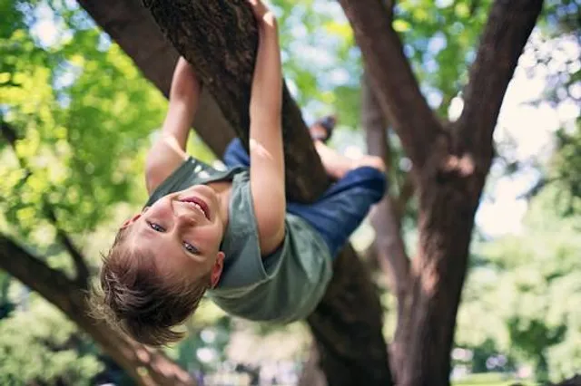 TreeClimb Adelaide