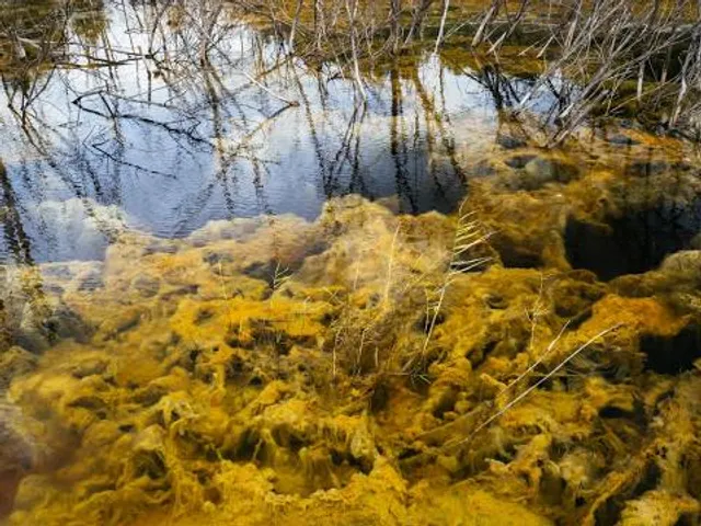 White Memorial- Little Pond Boardwalk Trail