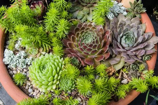 Ukrainian History and Education Center of NJ