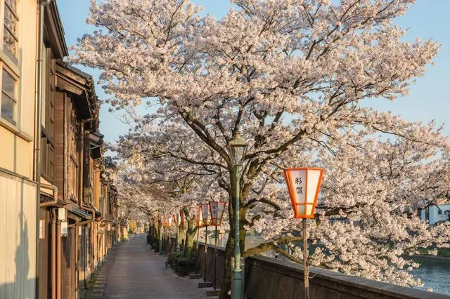 Kazuemachi Chaya District