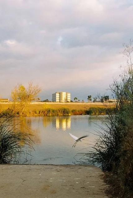 Woodley Park Archery Range