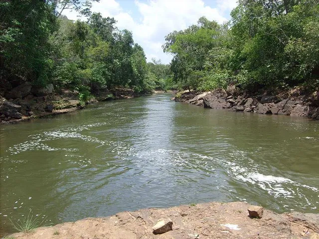 Região Geográfica Imediata de Viana
