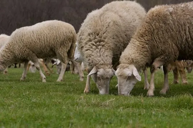 Erve Eme Archeologisch Openluchtmuseum