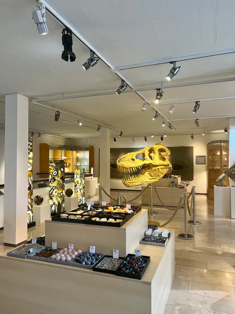 Urweltsteinbruch Holzmaden e.V.