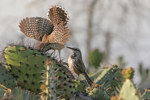 Hellman Park Trailhead