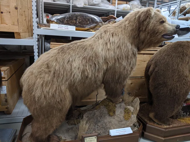 Natural Heritage Campus, Canadian Museum of Nature