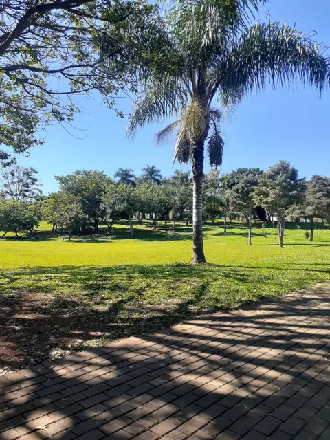 Parque Jerivá