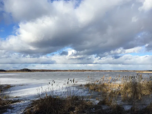 Nature Reserve Kvismaren