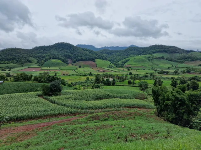 Mae La Luang Viewpoint