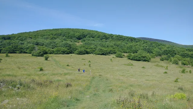 Elk Garden Trailhead