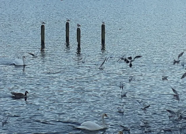 photo-1
