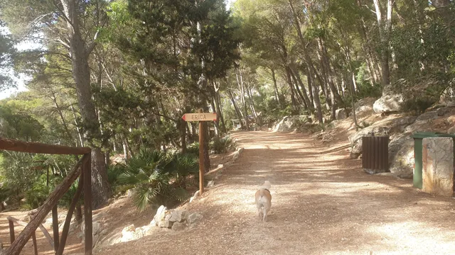 Parco della Misericordia