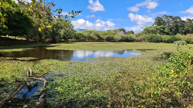 La Expresión Laguna de Doña Ana Recreation Park