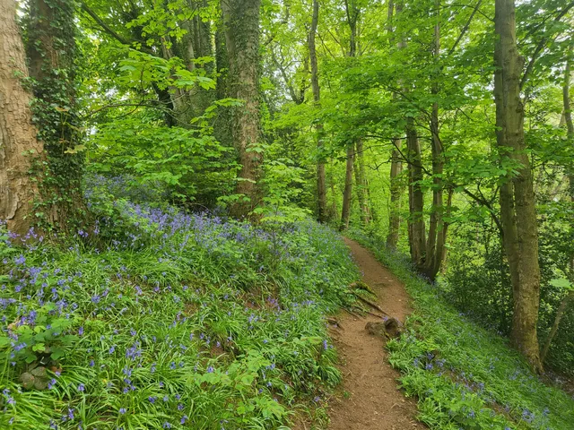 Spennells Valley Nature Reserve
