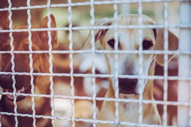 Earthquake Heritage Site of Nakahama Elementary School of Yamamoto Municipality