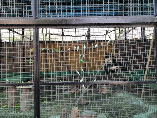 Bird Park