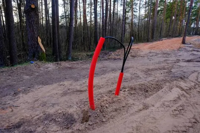 Colliers Mills Wildlife Management Area