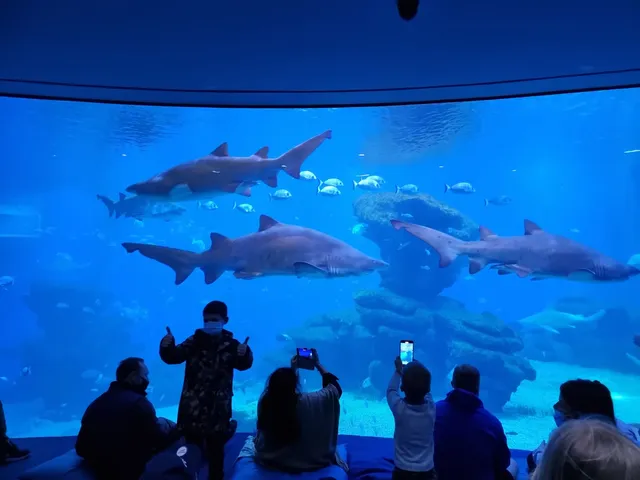 Palma Aquarium