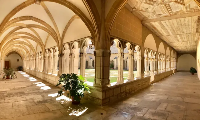 Cloister of the Cathedral of Saint Vincent