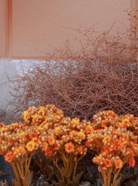 Wildwood Preserve Metropark