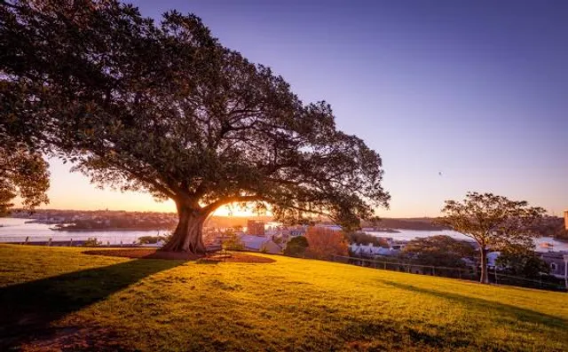 Observatory Hill Park