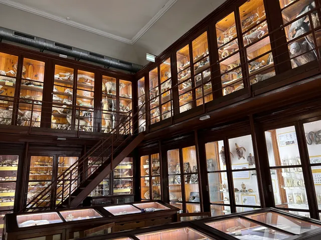 Museo di Zoologia Pietro Doderlein