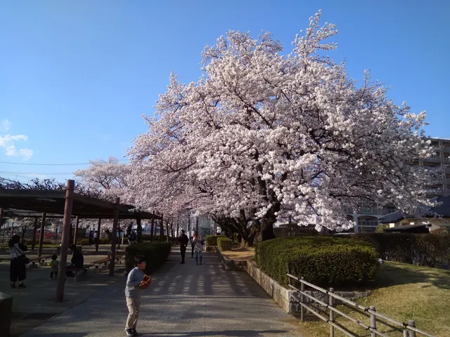 Nanbu Park