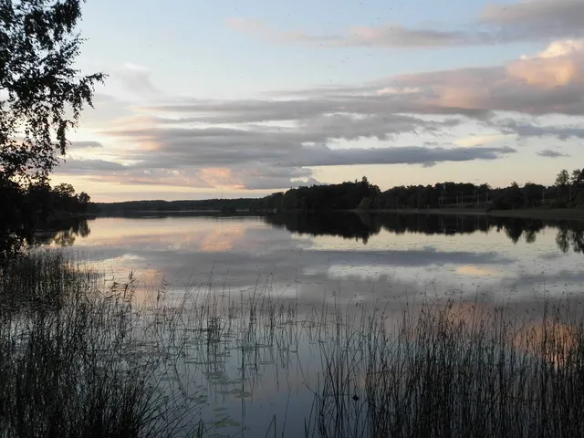 Dansjön
