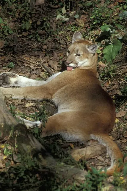 Wildlife Prairie Park