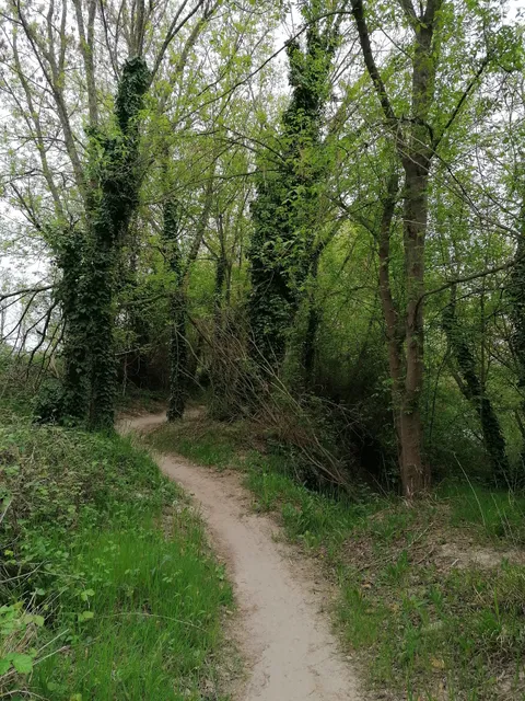 Oasi di Chiesavecchia – Parco fluviale “Egidio Guerra”