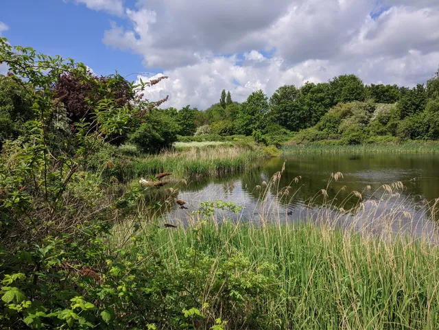 place image