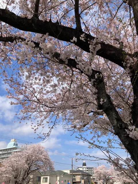Mutsumi Central Park