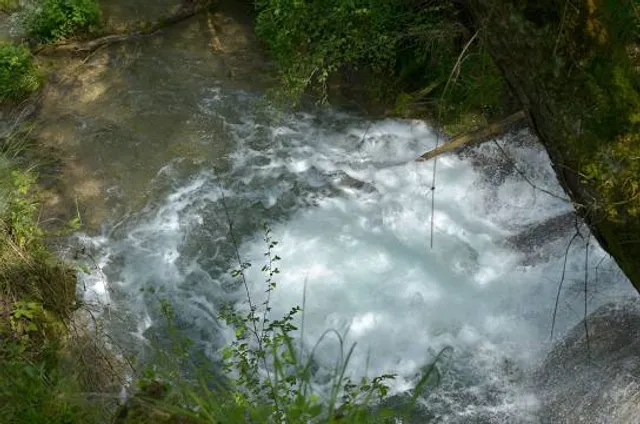 photo-2