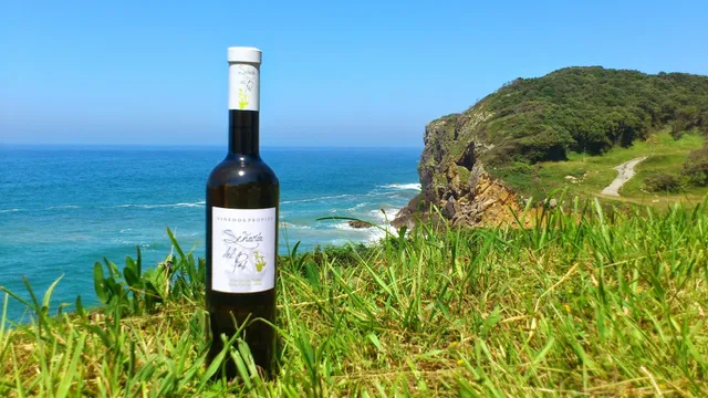 Bodega y Viñedo Señorío del Pas