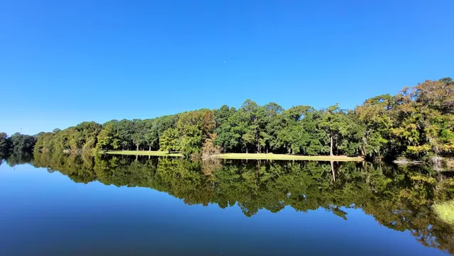 Fish Island Sea Pines Forest Preserve