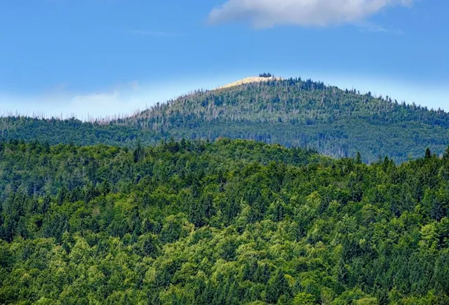 Baumwipfelpfad Bavarian Forest