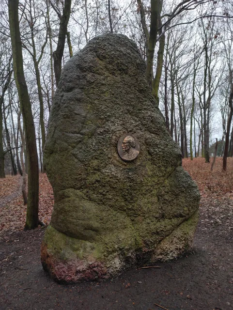 The forest park Haje