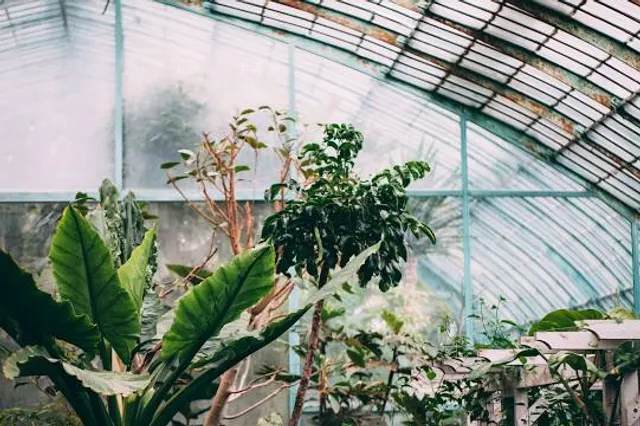 Jardin des Serres d’auteuil