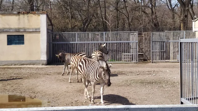 Odessa Zoo