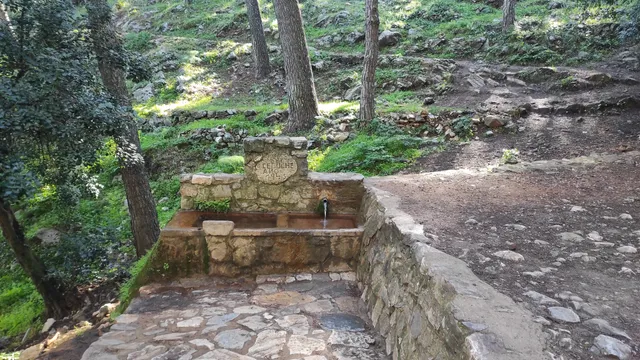 Sendero Fuente Del Acebuche