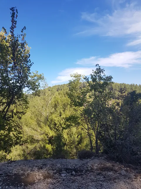 Bar'am National Park - Bar'am Forest