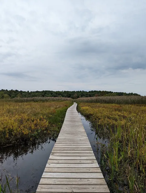 White Memorial Conservation Center