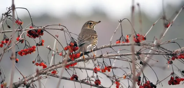 Knock Knock Children's Museum
