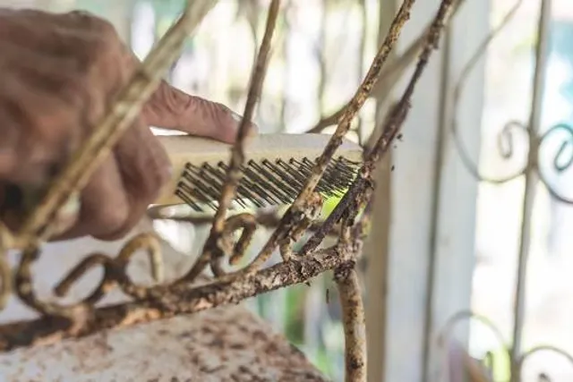 Muzeum Im. G. J. Osiakowskich