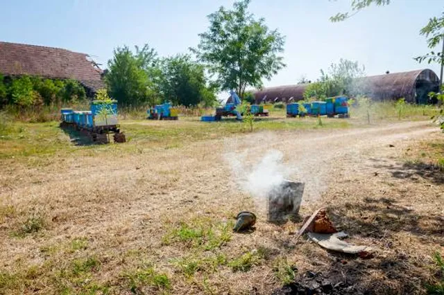 El Oasis Tu Parque Acuático Tequisquiapan