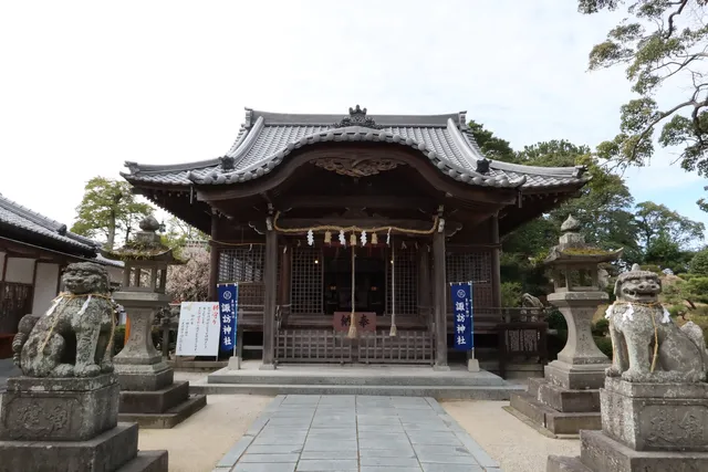 photo-1