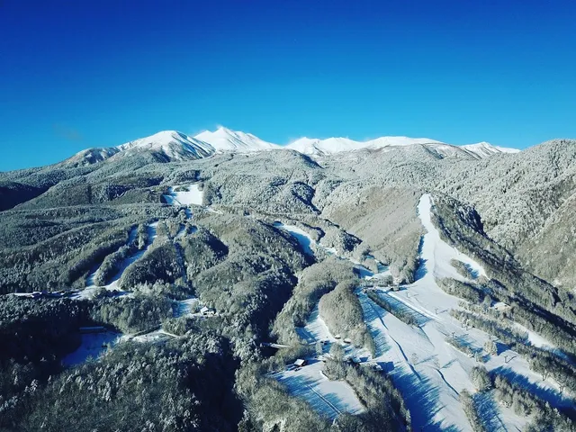 Blue Resort NORIKURA