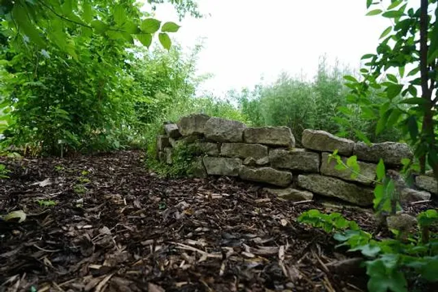 Lime Creek Nature Center