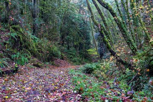 Marquam Nature Park