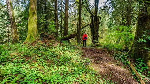 Mission Creek Regional Park